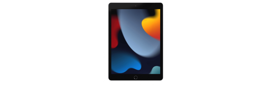 iPad 10.2 2021 A2603/A2604